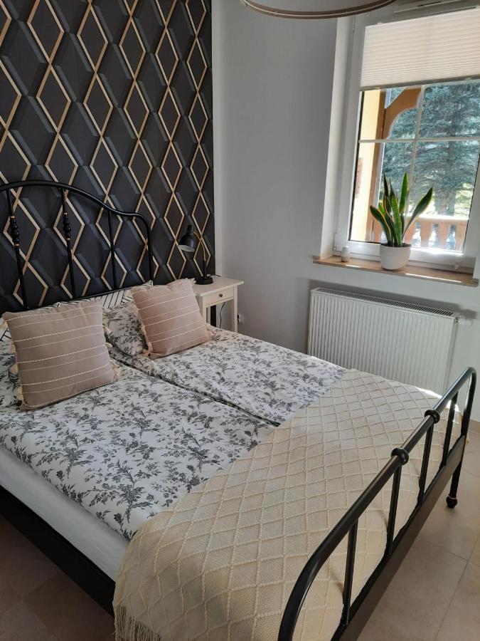 Apartament Felina Свєрадув-Здруй Екстер'єр фото